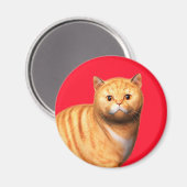 Ginger Kat 3 Magneet (Voorkant / Achterkant)
