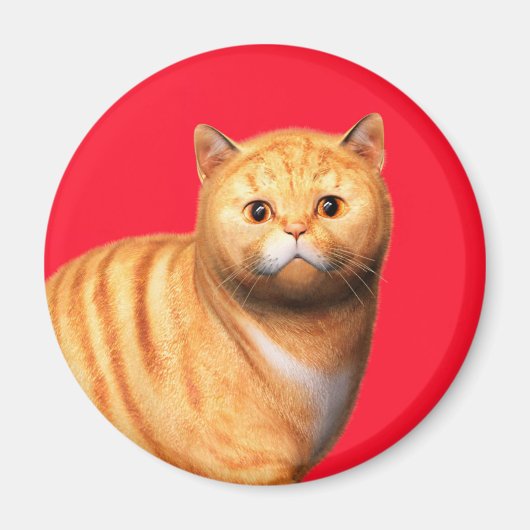 Ginger Kat 3 Magneet (Voorkant)