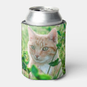 Ginger Kat met groene ogen in gras Blikjeskoeler (Blikje Voorkant)