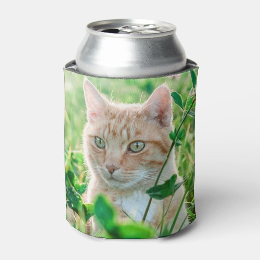 Ginger Kat met groene ogen in gras Blikjeskoeler (Blikje Voorkant)