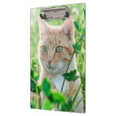 Ginger Kat met groene ogen in gras Klembord (Links)