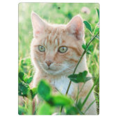Ginger Kat met groene ogen in gras Klembord (Achterkant)