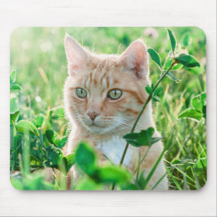 Ginger Kat met groene ogen in gras Muismat
