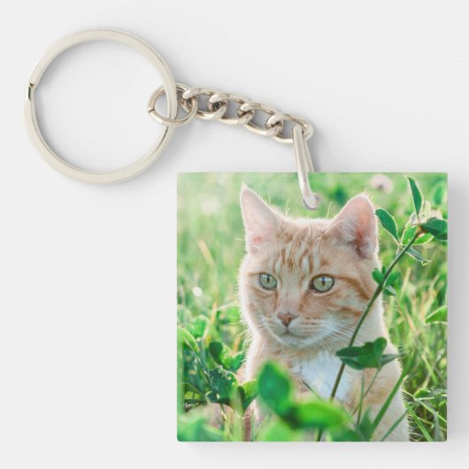 Ginger Kat met groene ogen in gras Sleutelhanger (Voorkant)