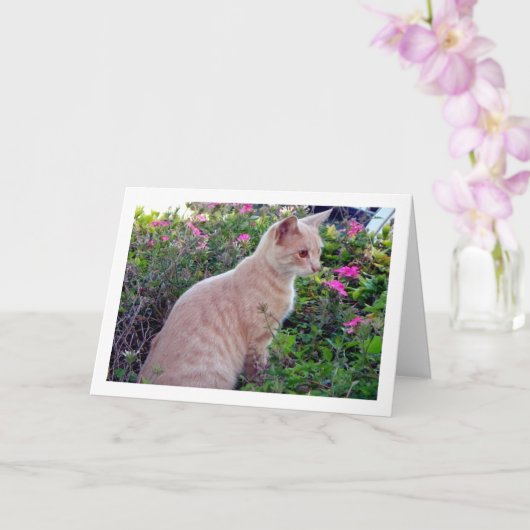 Ginger Kitten in Bloemen Kaart (Orchidee)