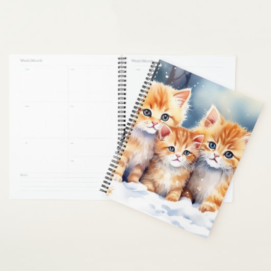 Ginger Kittens (Devant avec enveloppe)