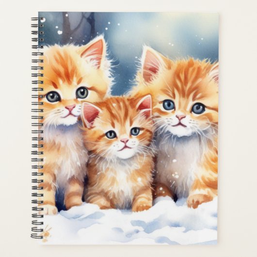 Ginger Kittens (Devant)