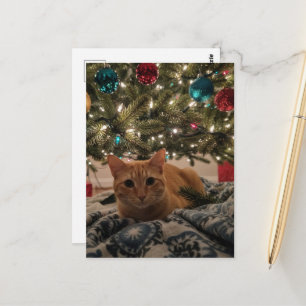 Ginger Kitty Onder de Kerstboom Briefkaart
