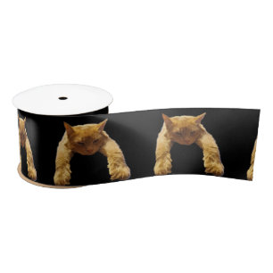 Ginger Lazy Cat, Satin Ribbon Lint