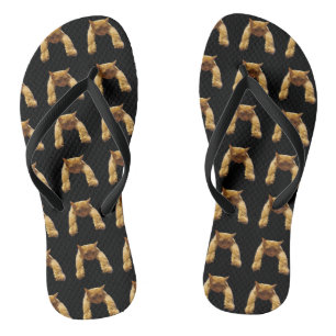 Ginger Lazy Cat, Teenslippers