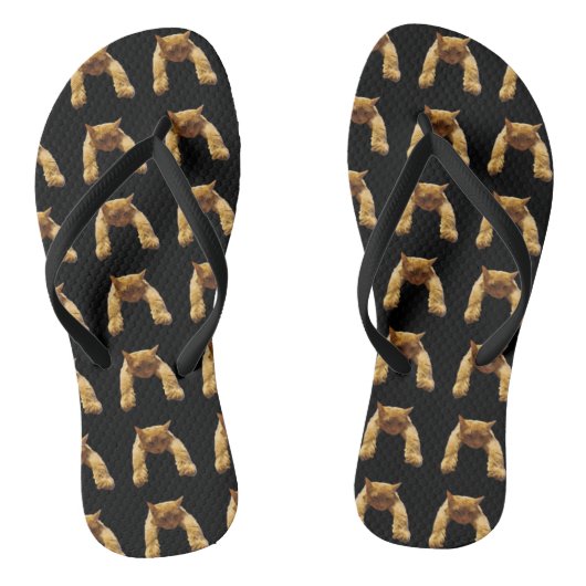 Ginger Lazy Cat, Teenslippers (Voetbed)