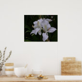 Ginger Lily-0105 Poster (Keuken)