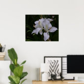 Ginger Lily-0105 Poster (Thuiskantoor)
