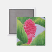 Ginger Magnet (Recto/Verso)