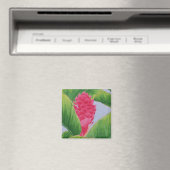 Ginger Magnet (In Situ (Lave-vaisselle))