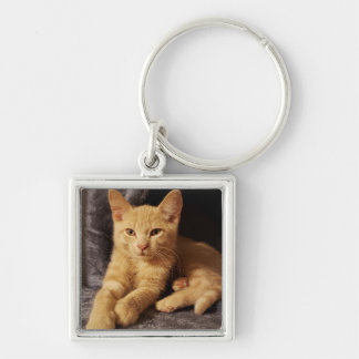Ginger Oranje Sleutelhanger met tablet