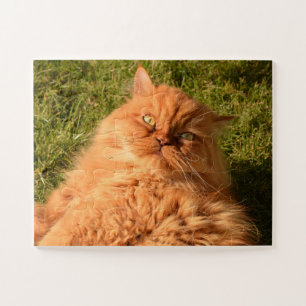 GINGER PERSIAN CAT JIGSAW PUZZZLE LEGPUZZEL