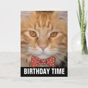GINGER RED CAT BIRTHDAY CARDS KAART