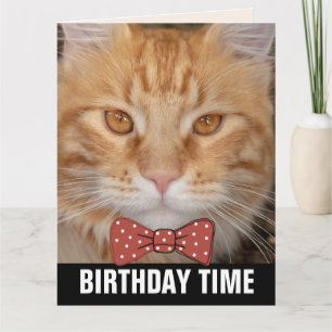 GINGER RED CAT bowtie BIRTHDAY CARDS Kaart