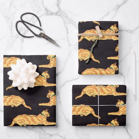 Ginger Striped Cats Patroon Inpakpapier Vel (Voorkant)