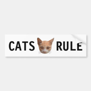 Ginger Tabby Kitty Cat Bumpersticker