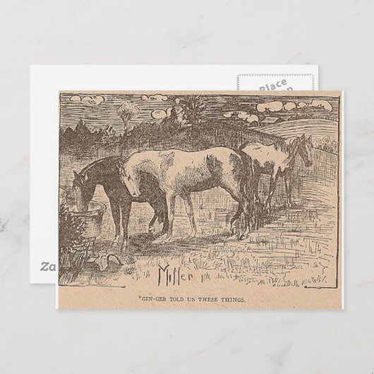 Ginger vertelde ons deze dingen briefkaart (Voorkant / Achterkant)