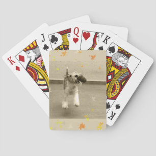 Ginger Wire Fox Terrier Pokerkaarten