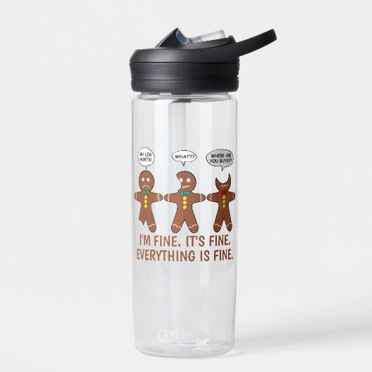 Gingerbrood Alles is prima Funny CamelBak Eddy Waterfles (Links)