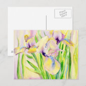 Gingerbrood Iris Briefkaarten (Voorkant / Achterkant)