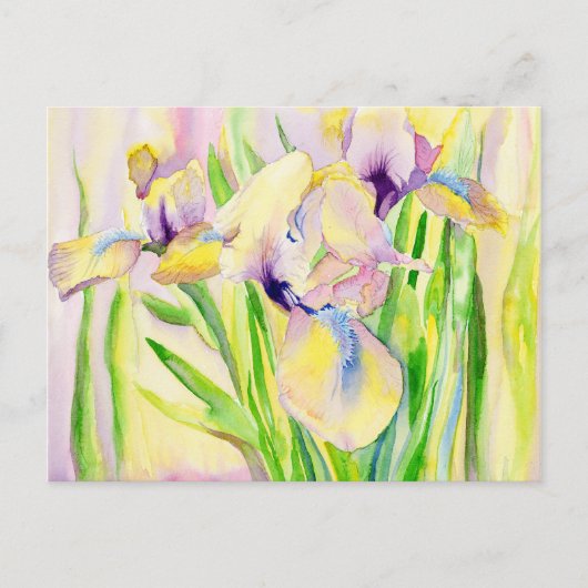 Gingerbrood Iris Briefkaarten (Voorkant)