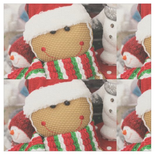 Gingerbrood Stof (Close Up)