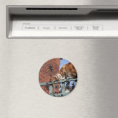 Gingerenkat voor games magneet (Insitu (Vaatwasser))