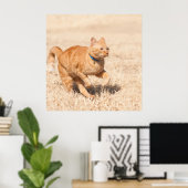 Gingersnelheid Poster (Thuiskantoor)