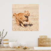 Gingersnelheid Poster (Keuken)