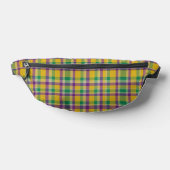 Gingham coloré à motif de Mardi Gras (Poser)