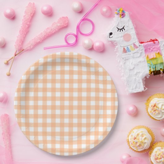Gingham met Gingham Check Pset Pattern Peach Papieren Bordje (Feest)