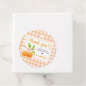 Gingham Orange Baby Shower Bedankjes Labels (In situ)