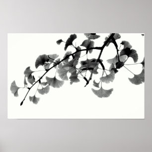 Gingko Biloba Foliage in zwart-wit Poster