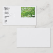 Gingko-bladeren op visitekaartje (Voorkant / Achterkant)