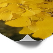 Gingko Boom in de herfst Poster (Hoek)