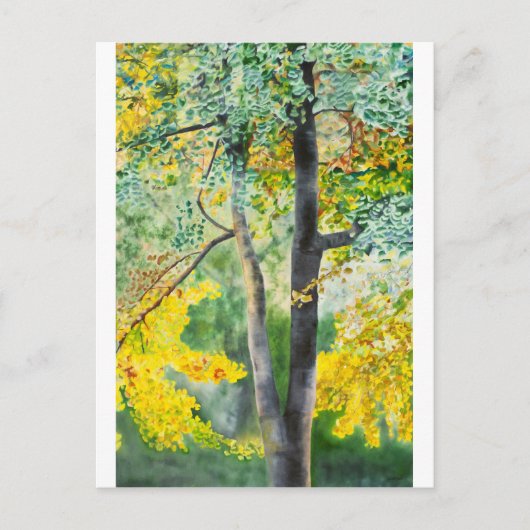 gingko briefkaart (Voorkant)