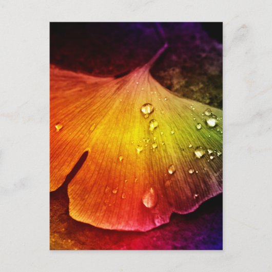 Gingko leaf, meerkleurig van Tutti Briefkaart (Voorkant)