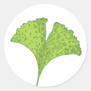 Gingko Leaf Ronde Sticker