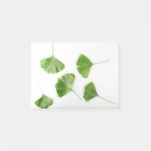 Ginkgo Biloba Leaf against White Background Post-it® Notes (Voorkant)