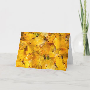 Ginkgo Biloba leaves Kaart