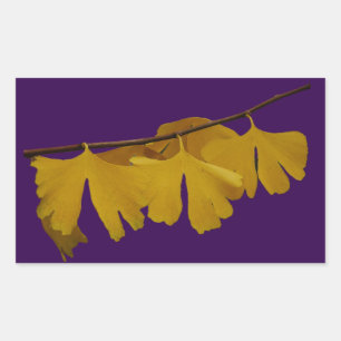 Ginkgo Biloba verlaat Sticker