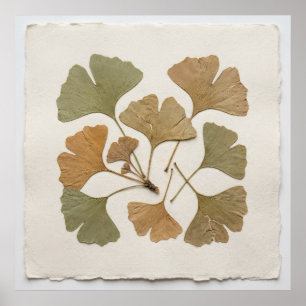 Ginkgo-blad botanische poster