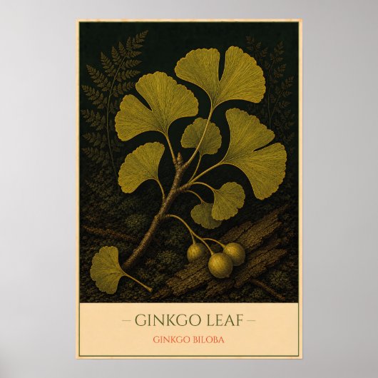 Ginkgo blad poster (Voorkant)