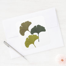Ginkgo laat  achtergrondkleuren achter