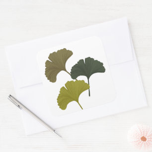 Ginkgo laat  achtergrondkleuren achter vierkante sticker